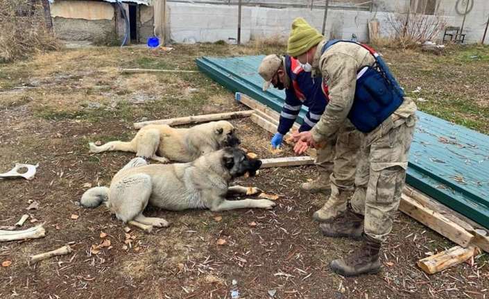 Erzincan’ın Çayırlı ilçesinde korona virüs tedbirleri kapsamında hafta sonu uygulanan
