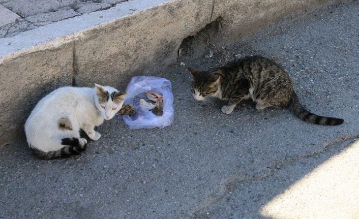 Korona virüs tedbirleri kapsamında 4 gün sürecek olan sokağa çıkma