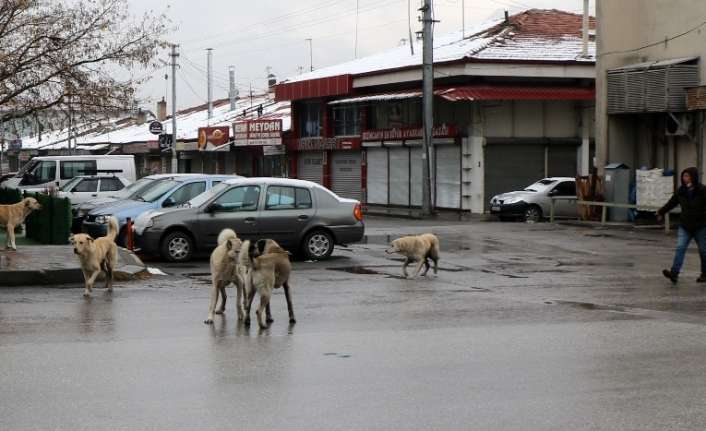 Erzincan’da hafta sonu sokağa çıkma kısıtlamasıyla boş kalan cadde ve