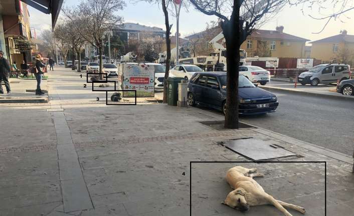 Dünya genelinde milyonlarca insanın hayatını değiştiren yeni tip korona virüs