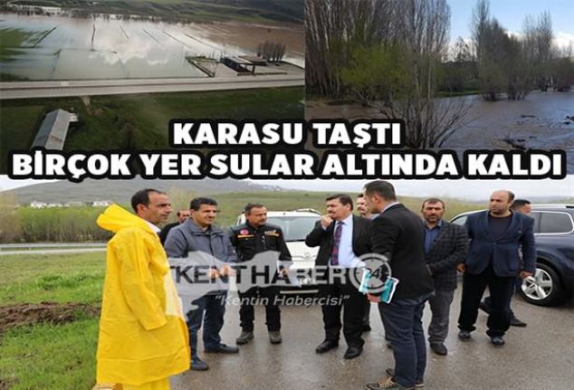 Erzincan'da Tercan’a bağlı Kargın Beldesi yakınlarında Karasu Nehri'nin taşması sonucu