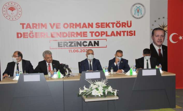 Erzincan’da, Tarım ve Orman