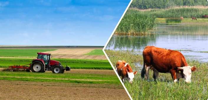Tarımsal destek ödemeleri kapsamında 636 milyon 199 bin 330 TL’lik