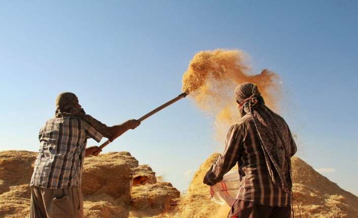 TARIMSAL GİRDİ FİYAT ENDEKSİ ŞUBATTA AYLIK YÜZDE 1,22, YILLIK YÜZDE