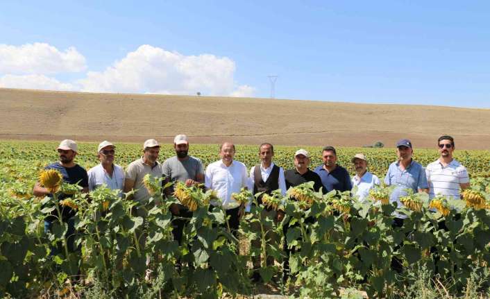 İl Tarım ve Orman Müdürlüğü tarafından düzenlenen tarla gününde hasat