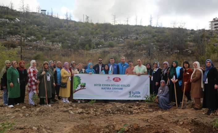 Türkiye Diyanet Vakfı ve Diyanet İşleri Türk İslam Birliği (DİTİB)