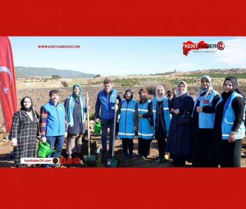 Türkiye Diyanet Vakfı ve Diyanet İşleri Türk İslam Birliği (DİTİB)