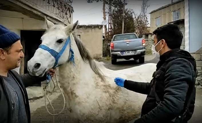 Erzincan İl Tarım ve Orman Müdürlüğü ekiplerince, tek tırnaklı hayvanlara