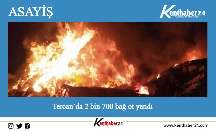 Erzincan’ın Tercan ilçesinde çıkan yangın da 2 bin 700 bağ