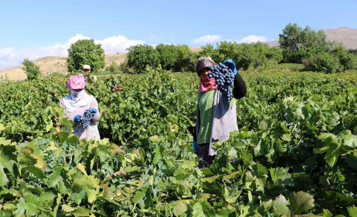 Erzincan ekonomisine katlı sağlayan