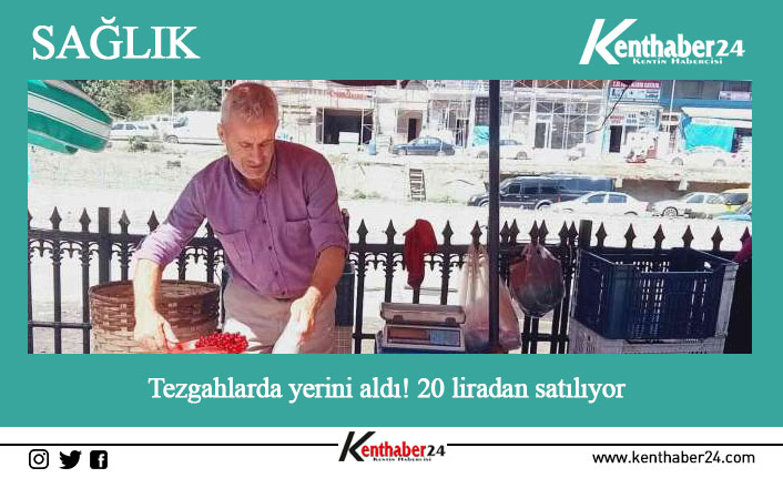 Erzincan’da vatandaşlar tarafından dere yatakları ve ormanlık alanlarda toplanan kızılcık,