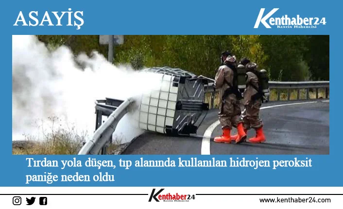 Erzincan-Erzurum kara yolu üzerinde tırdan varille yola düşen ve doğaya