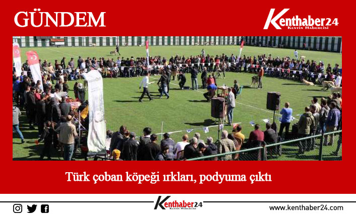 Uluslararası Avrasya Köpek Irkları ve Sokak Köpeklerini Koruma Geliştirme Federasyonu