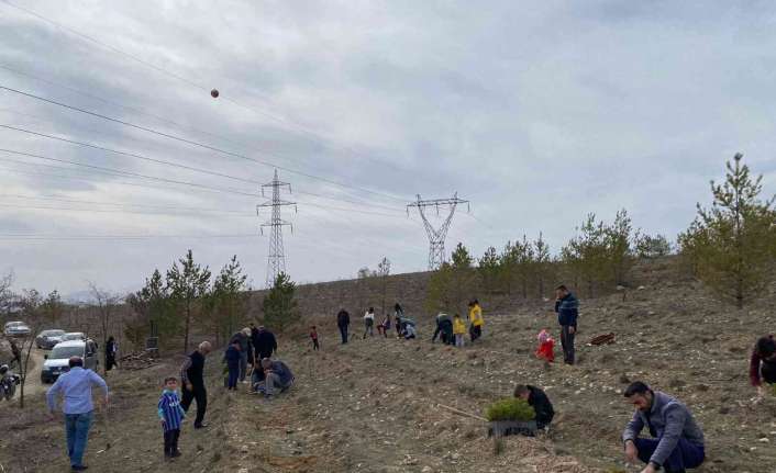 TÜRKAV Erzincan İl Başkanlığı, Alparslan Türkeş’in vefatının yıldönümünde hatıra ormanında