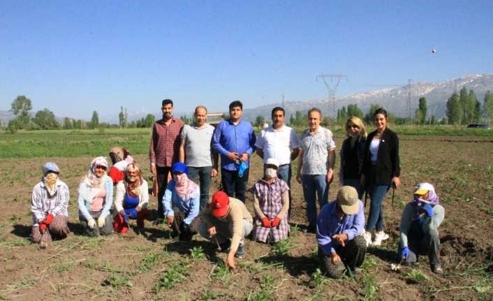 Türkiye Değişim Partisi Genel Başkan Yardımcısı Adnan Delikurt,  Dünya
