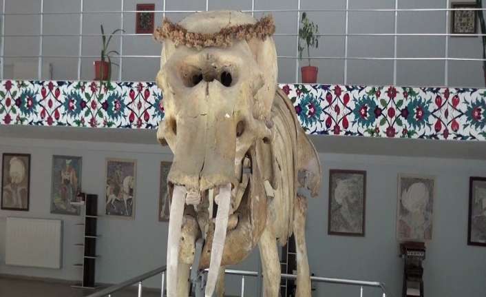 Türkiye’nin ilk doğa tarih müzesi olma özelliği taşıyan Erzincan’ın Kemaliye