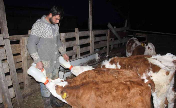 Üniversiteden mezun olduktan sonra başka bir mesleğe yönelmeyerek memleketi Erzincan’a