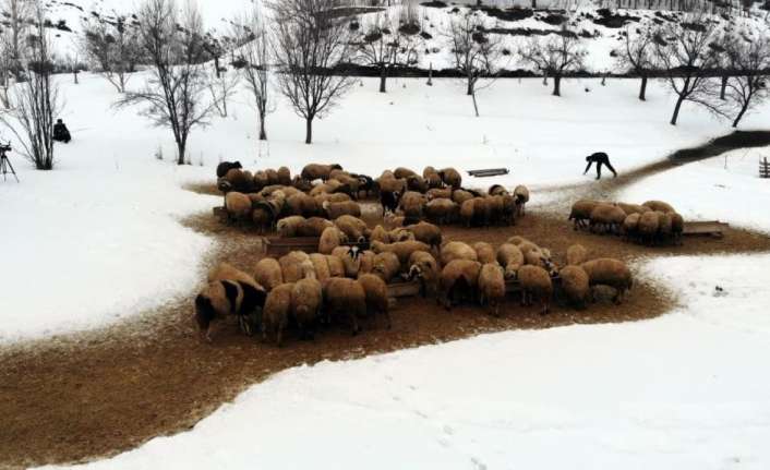 Erzincan’da mart ayında etkili olan kar yağışlarıyla birlikte uzayan kış