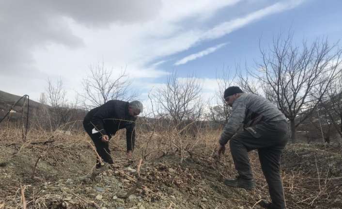 Erzincan İl Tarım ve Orman Müdürlüğü tarafından üreticilere, tescilli Cimin