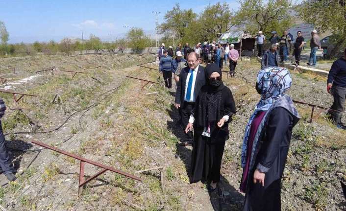 Erzincan İl Tarım ve Orman Müdürlüğü koordinatörlüğünde "Bağ Alanlarında Salkım