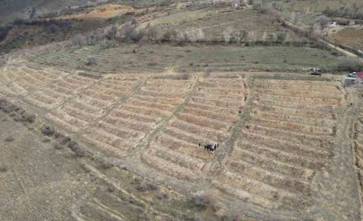 ERZİNCAN İL TARIM VE ORMAN MÜDÜRLÜĞÜ İLE BAHÇE KÜLTÜRLERİ ARAŞTIRMA