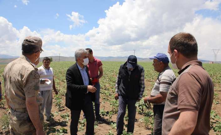 Erzincan Valisi Mehmet Makas, Tercan ilçesi Mercan Beldesinde tarlada çalışan