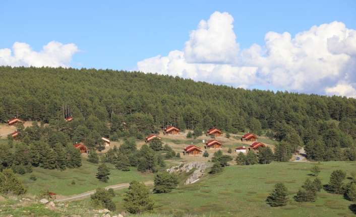 Erzincan Valisi Mehmet Makas, Dumanlı Tabiat Parkında devam eden çalışmaları