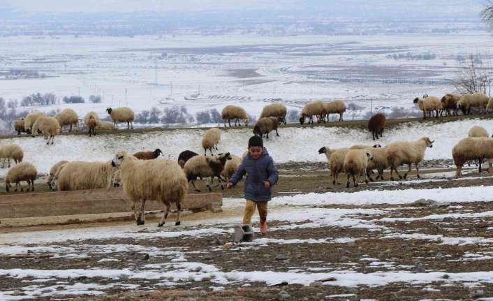 Erzincan Valiliği, yayla ve mera kullanımı ile ilgili genelge yayınladı.