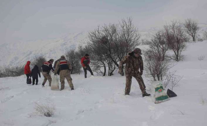 Erzincan’da çetin kış şartları