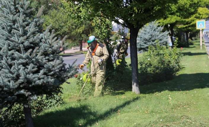 Erzincan’da Park ve Bahçeler Müdürlüğü ekipleri, yabani ot ve biçme