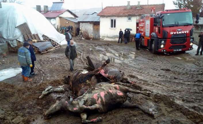 Erzincan’ın Tercan ilçesinde ahırda çıkan yangında 4 büyükbaş hayvan telef
