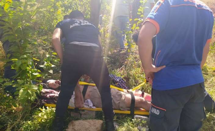 Erzincan’ın Kemaliye ilçesinde pikniğe giden ve kayalıklardan uçurama yuvarlanan yaralı