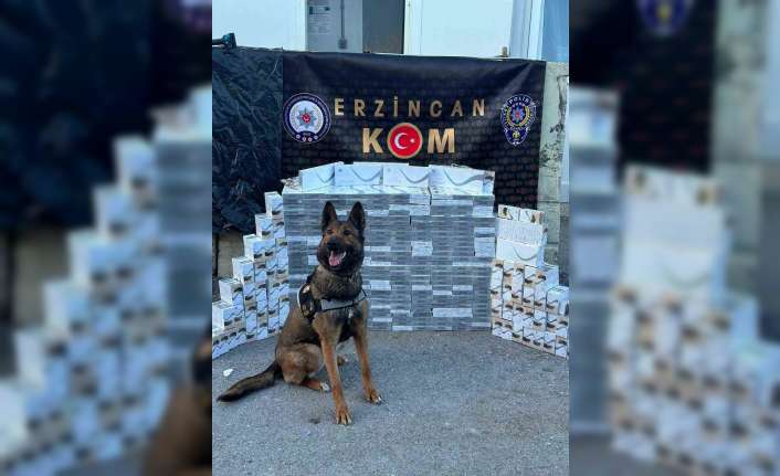 YOLCU OTOBÜSÜNDE 3 BİN 400 PAKET KAÇAK SİGARA ELE GEÇİRİLDİ