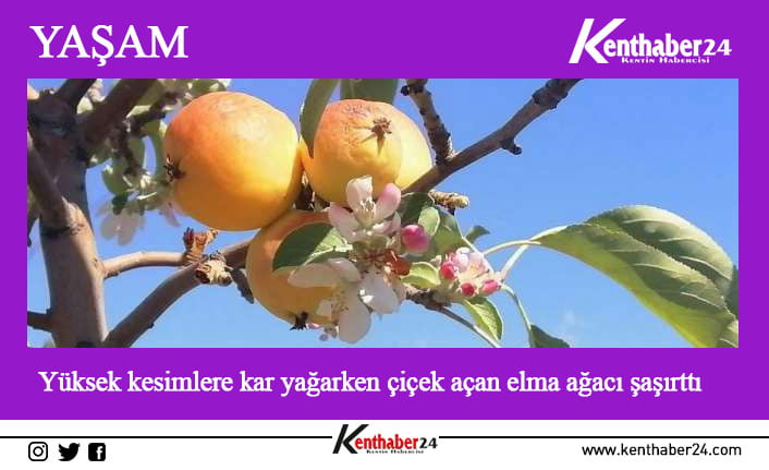 Erzincan’da 3 bin 549 metre yüksekliğindeki Keşiş Dağı’nın zirve noktası