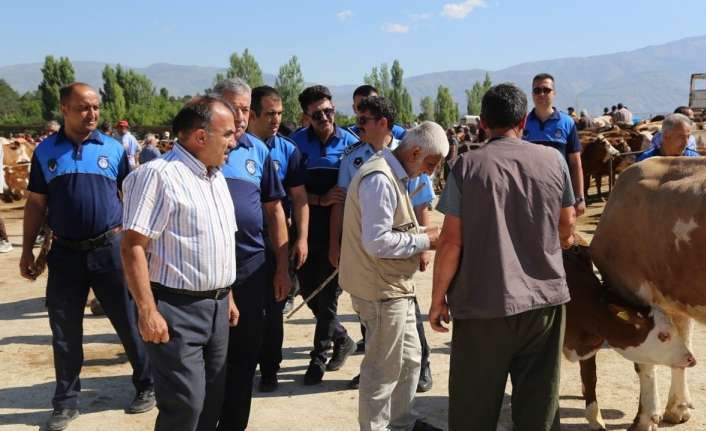 Erzincan Belediyesi Zabıta Müdürlüğü ekipleri bayram öncesi hayvan pazarında denetlemelerini