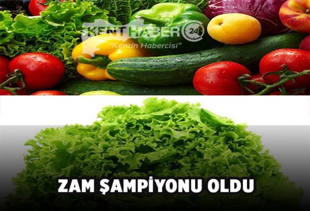 2019 yılı Şubat ayında bir önceki aya göre yüzde 0,16,