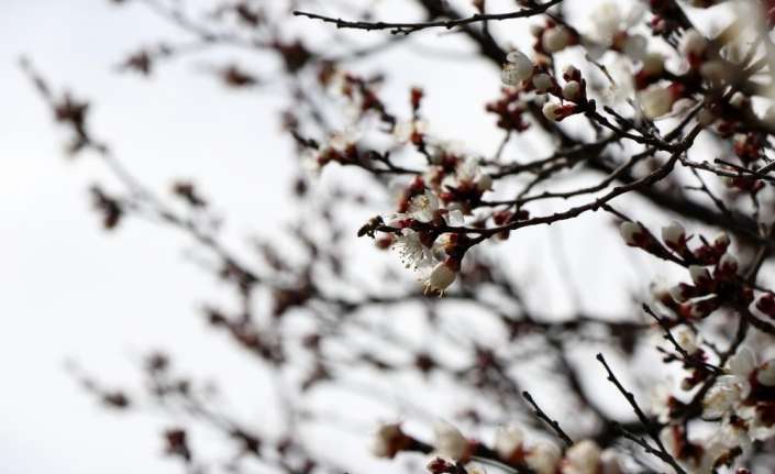 Hava sıcaklığı mevsim normallerinin altına düşecek Erzincan, Erzurum, Ağrı, Kars