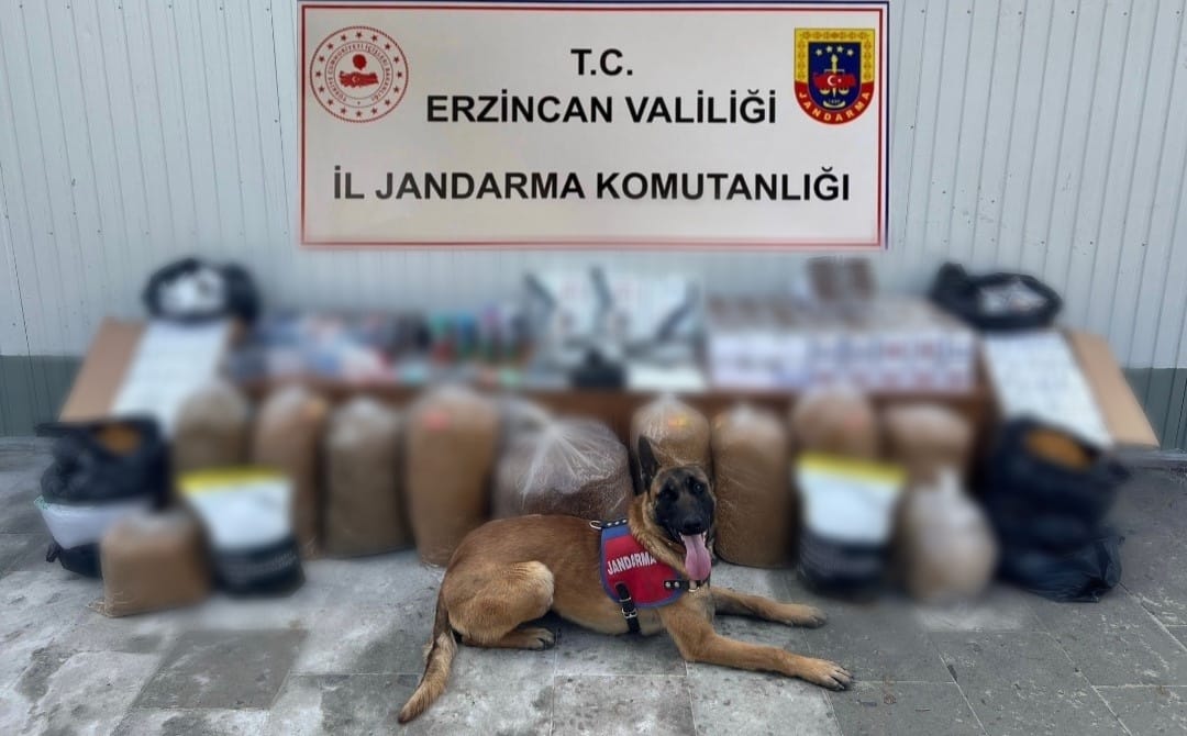 Erzincan İl Jandarma Komutanlığı ekiplerince, 2023 yılında icra edilen Siber