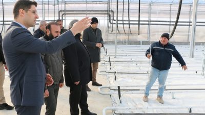 Erzincan seracılık sektöründe jeotermal Isıtmalı topraksız seralarda üretim Şubat ayında