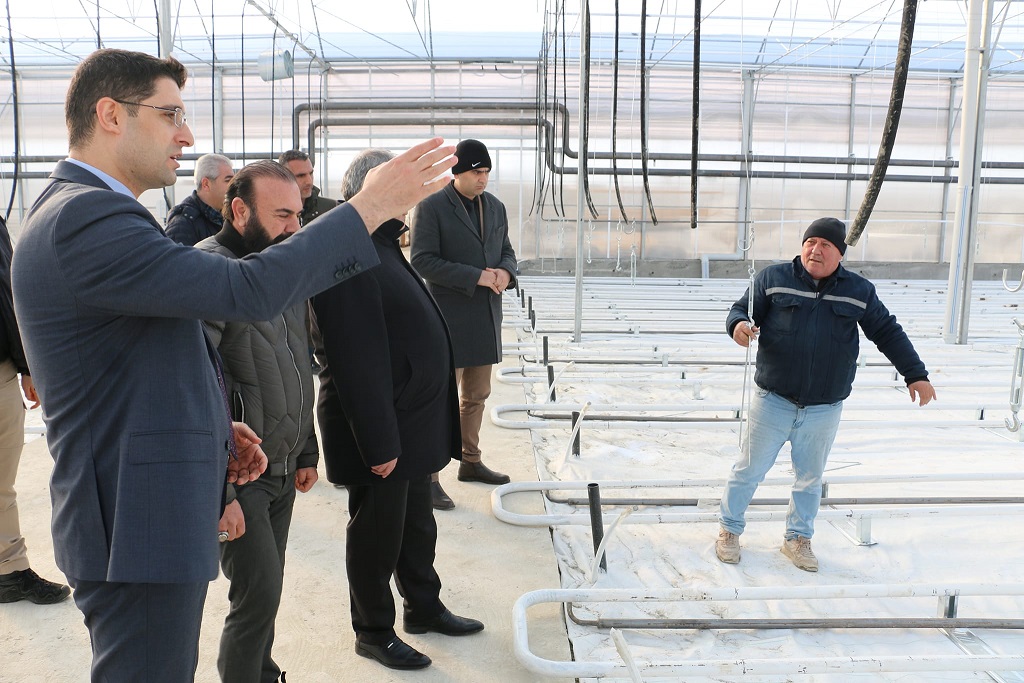 Erzincan seracılık sektöründe jeotermal Isıtmalı topraksız seralarda üretim Şubat ayında