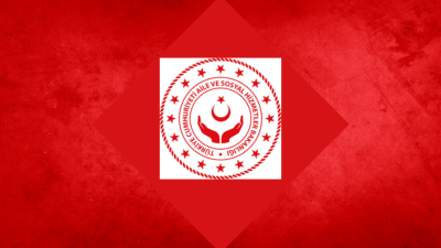 Aile ve Sosyal Hizmetler Bakanlığı, 2 bin 392 engellinin kamu