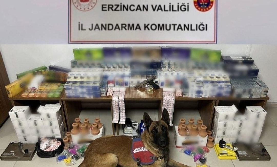 Erzincan İl Jandarma ekiplerince kaçakçılık suçlarının önlenmesine yönelik jandarma sınırları