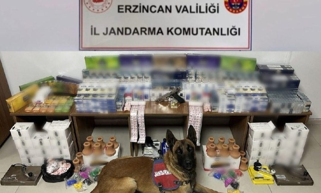 Erzincan İl Jandarma ekiplerince