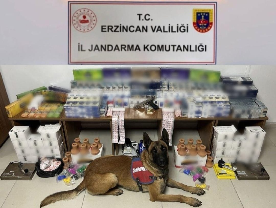 Erzincan İl Jandarma ekiplerince kaçakçılık suçlarının önlenmesine yönelik jandarma sınırları
