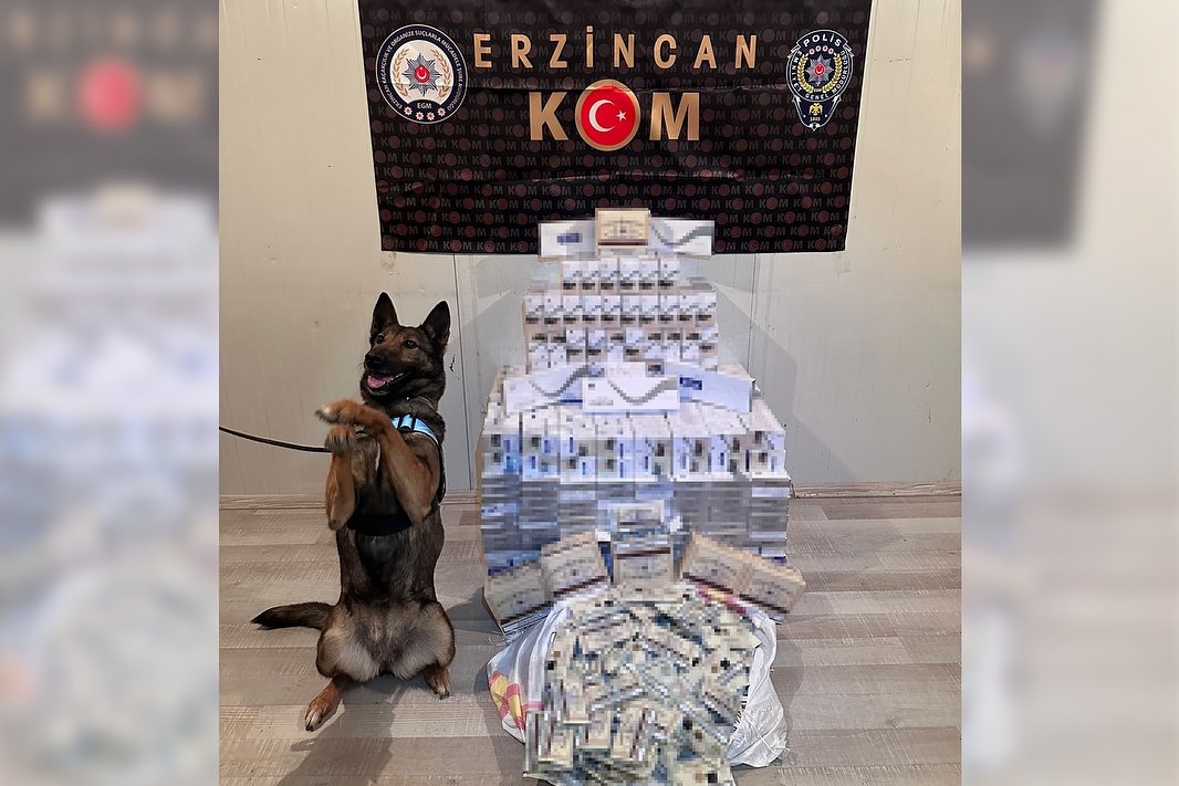 Erzincan İl Emniyet Müdürlüğü Kaçakçılık ve Organize Suçlarla Mücadele Şube