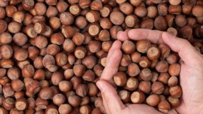 Türkiye İstatistik Kurumu (TÜİK) 2023 yılı bitkisel ürerim istatistiklerini açıkladı.