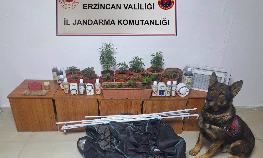 Erzincan İl Jandarma Komutanlığı 2023 Aralık ayı içerisinde icra edilen