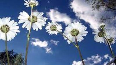 Cemre, baharın müjdecisi olarak bilinir ve Türk halk kültüründe önemli