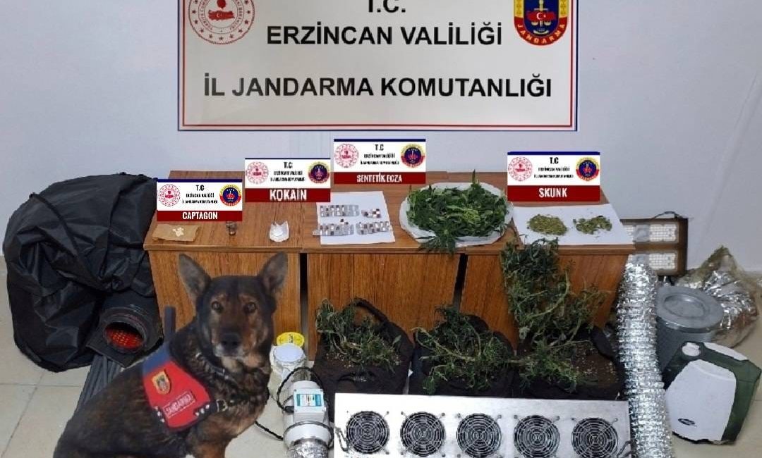 Erzincan İl Jandarma Komutanlığınca,