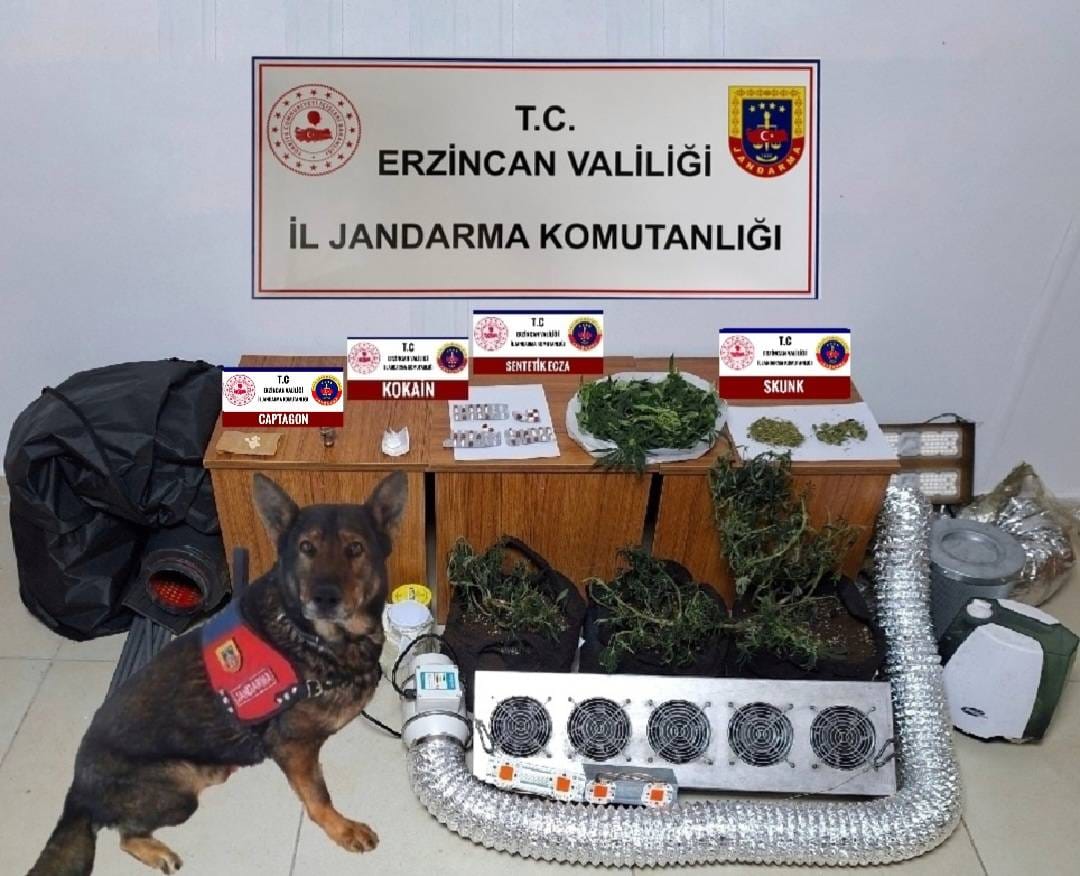 Erzincan İl Jandarma Komutanlığınca, Ocak 2024 ayında icra edilen Asayiş,